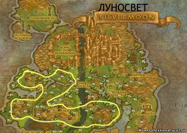 Карта маршрута сбора травы в Призрачных землях Луносвет Травничество